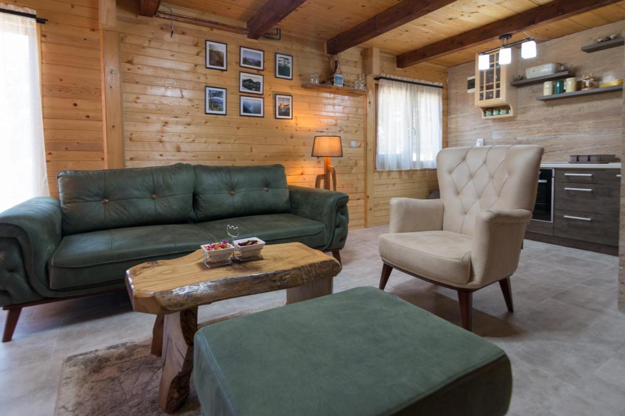 Brvnare Krstigora Villa Zaovine Luaran gambar