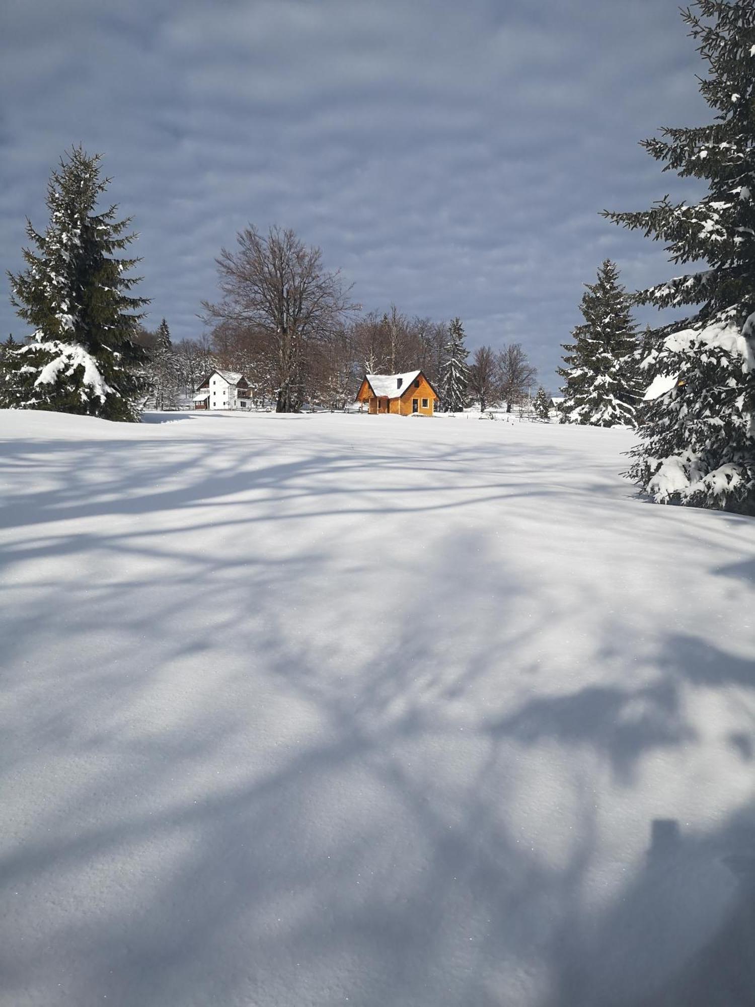Brvnare Krstigora Villa Zaovine Bilik gambar