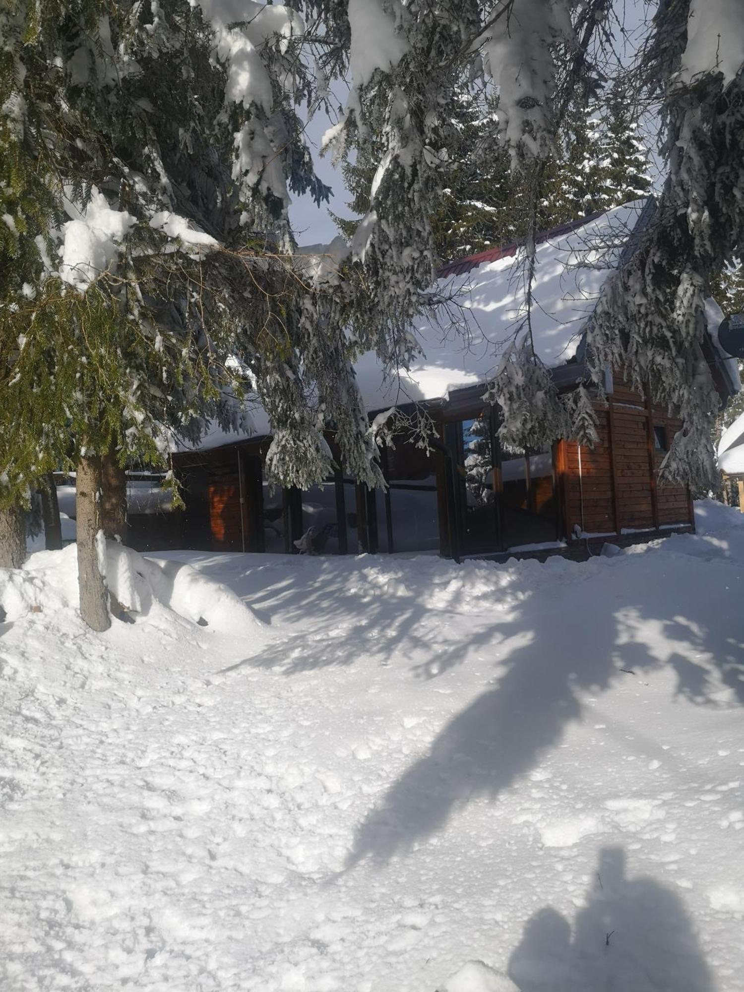 Brvnare Krstigora Villa Zaovine Bilik gambar