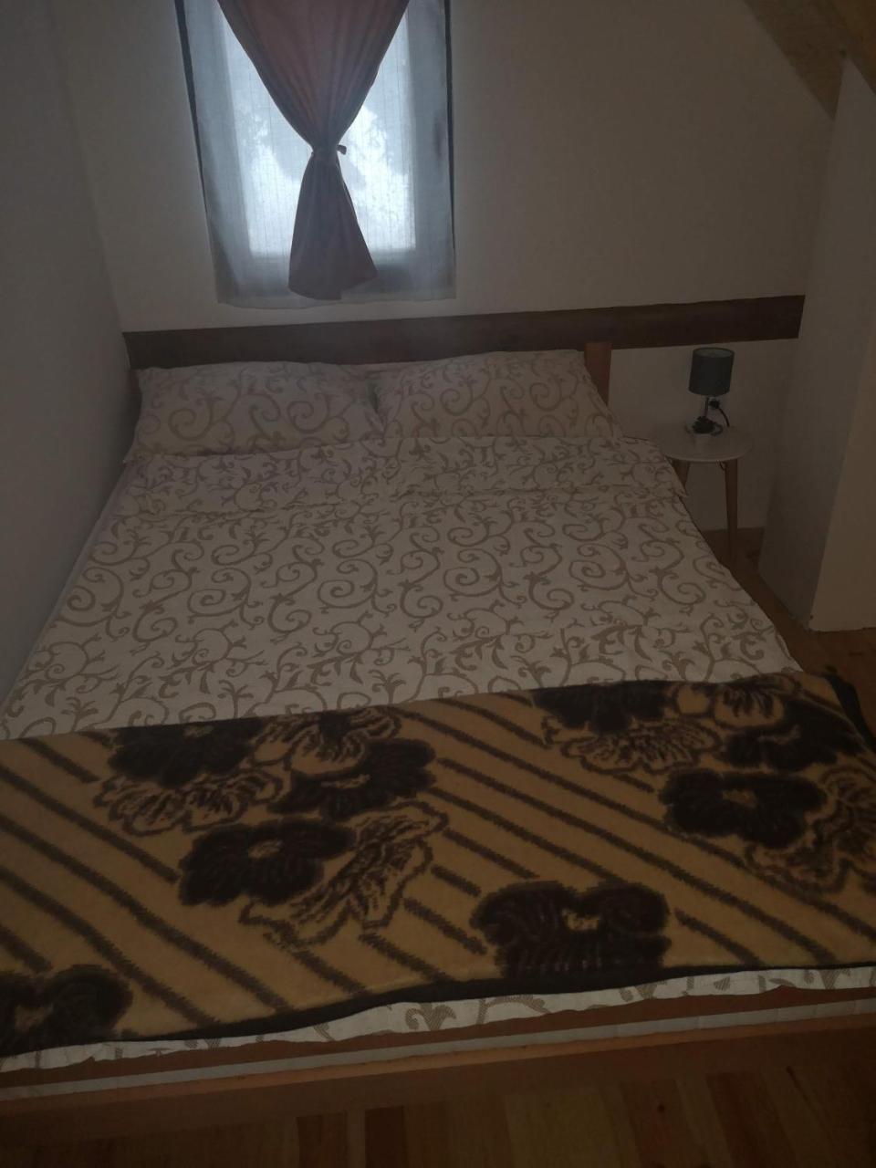Brvnare Krstigora Villa Zaovine Luaran gambar