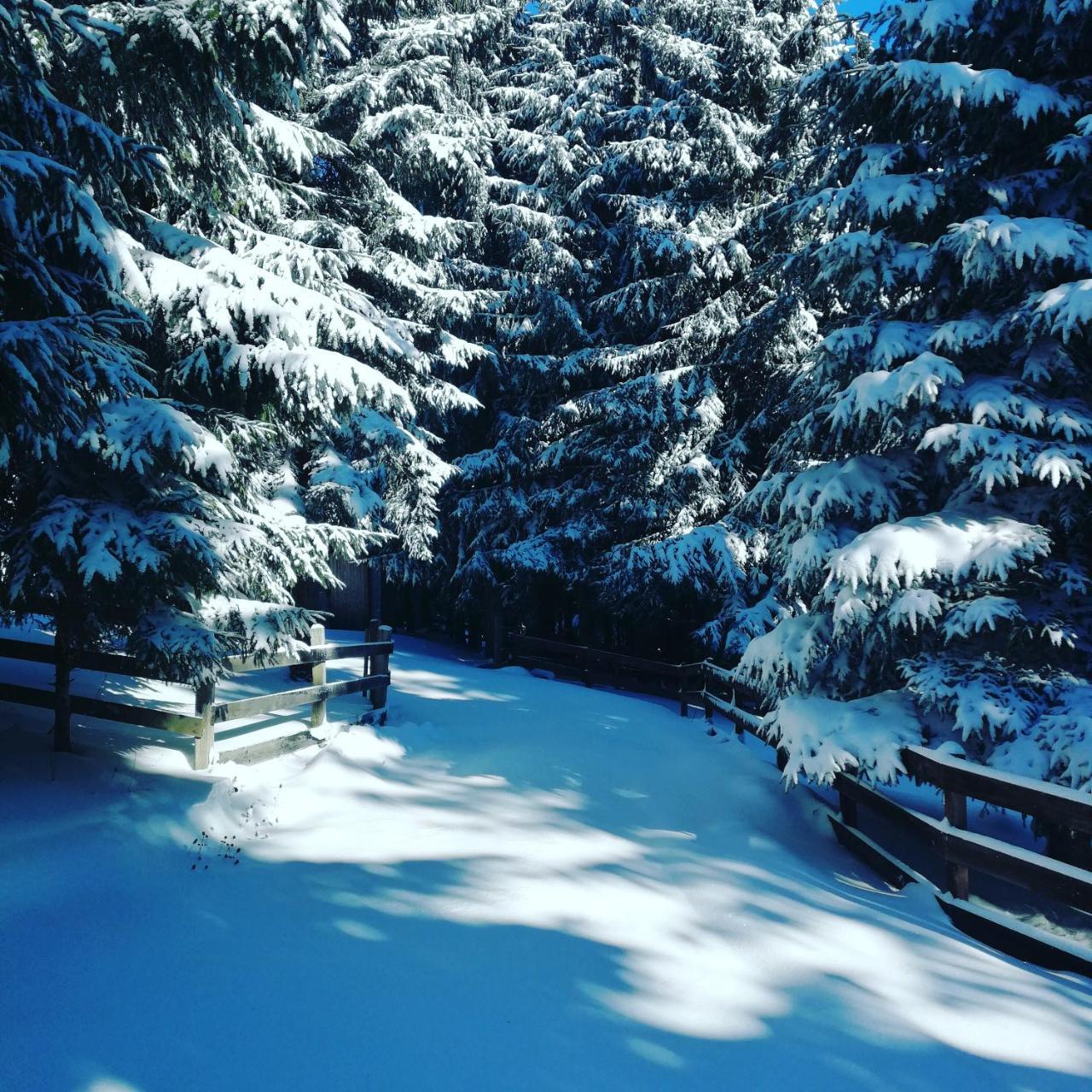 Brvnare Krstigora Villa Zaovine Luaran gambar