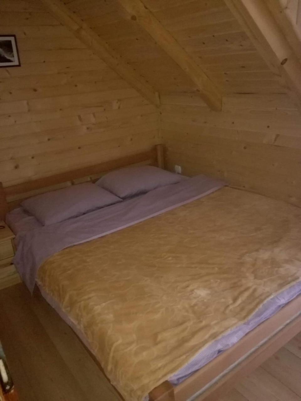 Brvnare Krstigora Villa Zaovine Luaran gambar